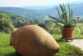 Gite en pleine nature avec vue panoramique n°1 - Image 5