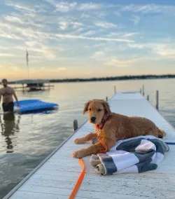 BEAUTIFUL LAKEFRONT COTTAGE!! ☀️🧡 KAYAKS! CLEAR SANDY BOTTOM - Image 2