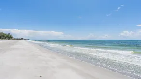 Its a Shore Thing - Image 5