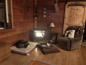 Beautiful Cabin in the woods  Allegany County NY - Image 2