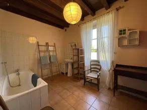 Large farmhouse with private pool and pets allowed in Chappes - Image 2