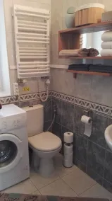 Danzica vicino, proprio nella natura - Image 3