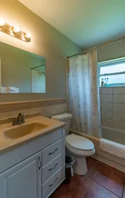 Tampa Bay Area - Image 3