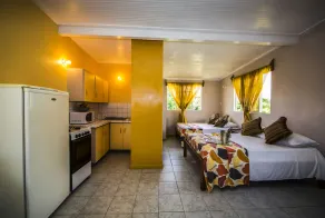 Fully equipped unique self-contained cozy apartments ideal for couples/families. - Image 4