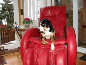 Apartamento Paradies, Lübbenau cidade velha, crianças, animais de estimação bem vindos, - Image 2