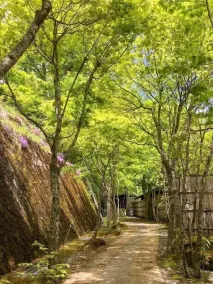 Daimaru Asunarosou - Image 4
