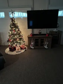 Come enjoy a family Christmas at our Nest! - Image 3