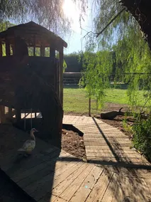 Farm Treehouse; GLAMPING IN THE WINE COUNTRY! 501c3 - Image 3