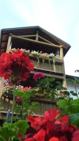 Friendly vacation apartment at the Linde- 4 persons, 60sqm, with balcony - Image 5