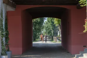 SCUDERIA LA COLOMBERA - Image 5