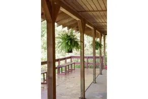 #1 Swamp Life-Uncertain Lodge and Inn - Image 4