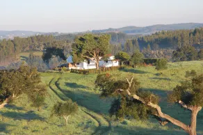 Lussuosa fattoria Alentejo - Image 5