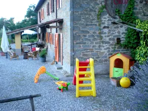 Olivi Giallo - Image 5