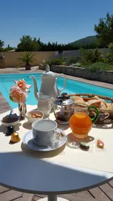Lamanderie in Provence; Hacienda type house between Alpilles and Luberon - Image 5