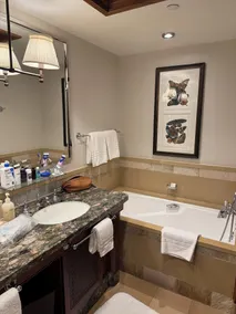 FOUR SEASONS Private Residence -- Ultimate Luxury Experience - Image 3