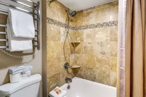 1088 Wild Irishman Condo - Image 4