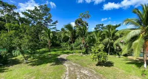 Caribbean R & R - Image 3
