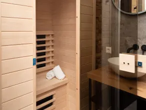 Luxury apartment in Renesse with infrared sauna - Image 2