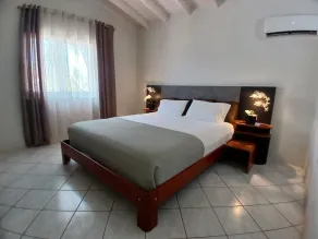 Private Luxury Villa Palm Beach - Image 5
