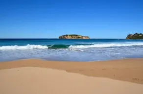 Rosedale Beach Paradise - Image 5