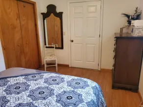Live your Best Vacation Life! Lovely 4 BR Property on Cayuga Lake.  Dog Friendly - Image 4