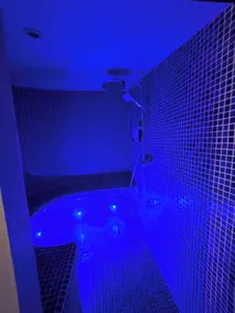 Royal SPA-suite med indendørs pool op til 14 personer - Image 5