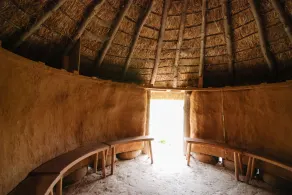 Mill Cottage set in a 70 acre Nature Reserve - Image 4