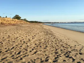 Charming Ocean View Cottage - 2. Haus zurück von Ferry Beach! - Image 3