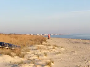 Delaware Beach Bliss - étapes de la plage - Image 5