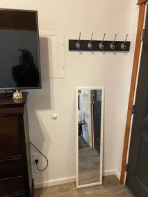 5 star Luxury tiny house, peaceful, POOL with covered deck! kayaks, 1 gig WiFi! - Image 3