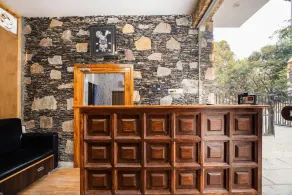 Badigarh Palace Resort - Image 2