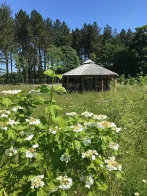 Hollicarrs - Cherry Blossom Lodge - Image 5