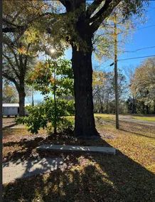 The best RV Park in Selma Al ! Buckaroo Jones Rv Park! - Image 2
