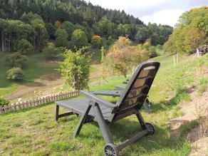 Natur og bjerge Vosges Alsace: genoplad dine batterier \"Au bout du Chemin\" - Image 3