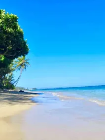 Breezy Beachfront Getaway w180 degree Oceanview - Image 5