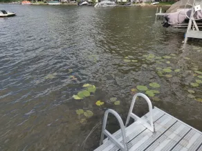 \"Star Gazer\"  cottage on Lakeside Matteson Lake. All sports with a dock! - Image 2