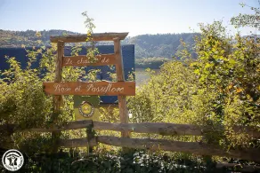 Le Chalet de Rose - Chambon-sur-lac - Image 3