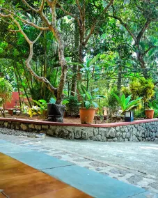 Home City Homestay & Ayurvedic Clinic - Image 5