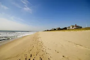 Elegant 5-Bedroom Hamptons Home with Private Pool - Image 4
