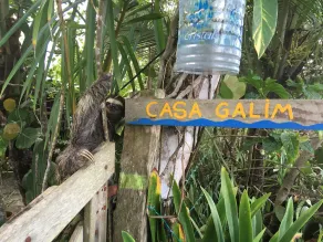 Casa Galim - Blue Morpho - House on the beach - Image 5