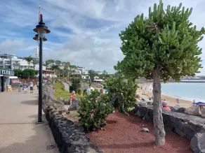 Casas Del Sol, Playa Blanca, Lanzarote, Kanarieöarna - Image 4