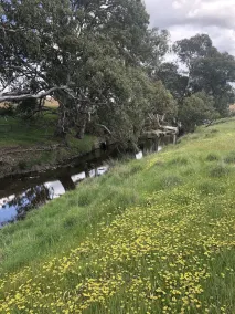 Hus, gårdens reträtt, med utomhusunderhållning - Image 4