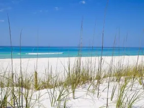 Beach Peach * Poolside Condo * Keine Schritte * Nur 1 Minute zum Strand * Tolle Preise * - Image 5