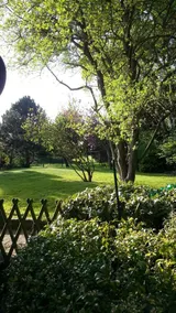 Maison idéale pour famille à 800 m de la côte piscine chauffée- jardin 600m2 - Image 4