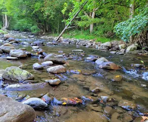 Large grassy creekside tent site! - Image 2