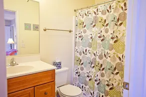 Large Saugatuck Condo, Wooded Ravine, Cathedral Ceilings, Open Concept - Image 5