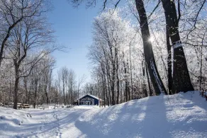 Private Cabin on Dead Lake-14 acres, dog friendly, hard sand beach, comfy beds  - Image 3