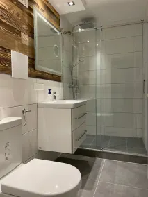 Renovated 1-room apartment - Image 3