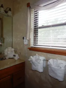 C12 - Luxury, loft, log-sided two bedroom Harbor North cottage on Lake Ouachita - Image 3