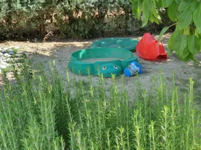 Fun for families - Image 3